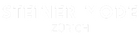 Steiner Mode